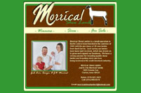 Morrical Show Lambs
